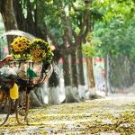 dep-nao-long-mua-thu-ha-noi