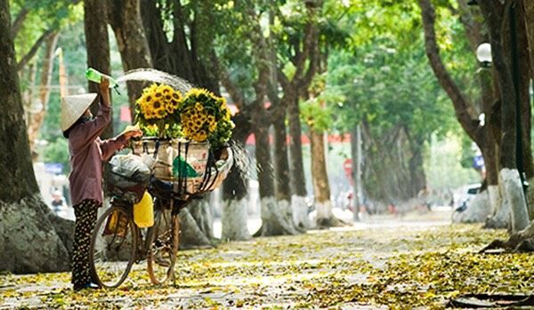 dep-nao-long-mua-thu-ha-noi